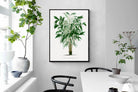 Pixalot Astrocaryum Murumuru Palm Tree Illustration