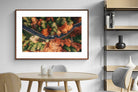 Pixalot ® Autumn Drive