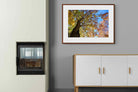 Pixalot ® Autumn Tree Leaves