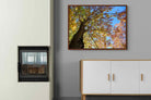 Pixalot ® Autumn Tree Leaves