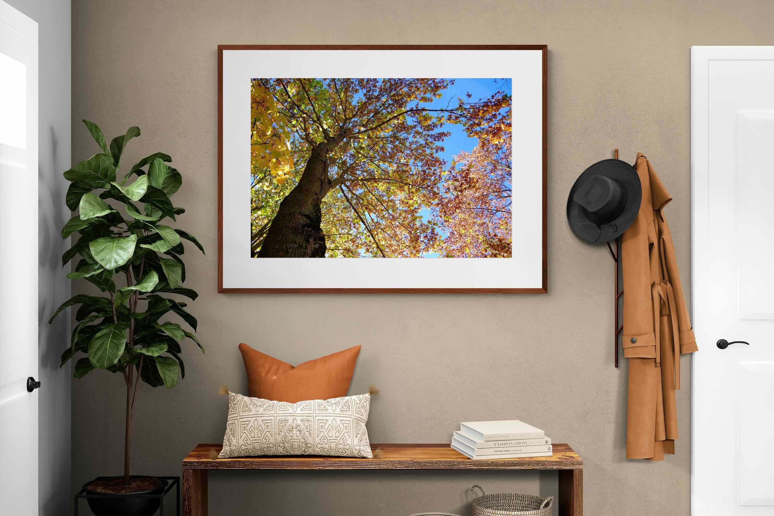 Pixalot ® Autumn Tree Leaves