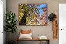 Pixalot ® Autumn Tree Leaves