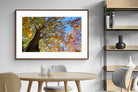 Pixalot ® Autumn Tree Leaves