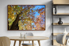 Pixalot ® Autumn Tree Leaves