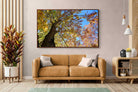 Pixalot ® Autumn Tree Leaves