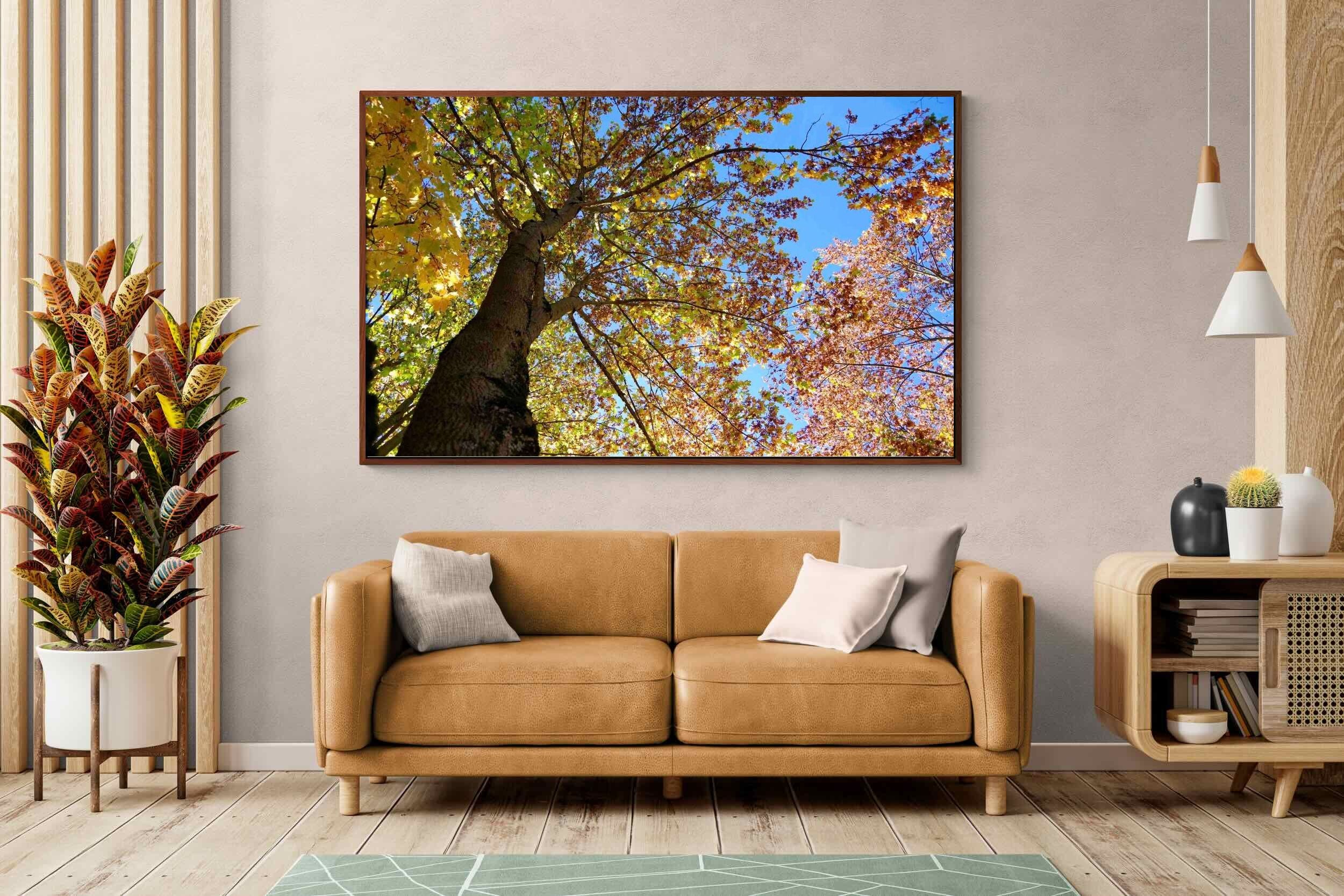 Pixalot ® Autumn Tree Leaves