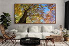 Pixalot ® Autumn Tree Leaves