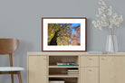 Pixalot ® Autumn Tree Leaves