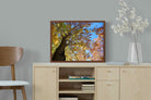 Pixalot ® Autumn Tree Leaves
