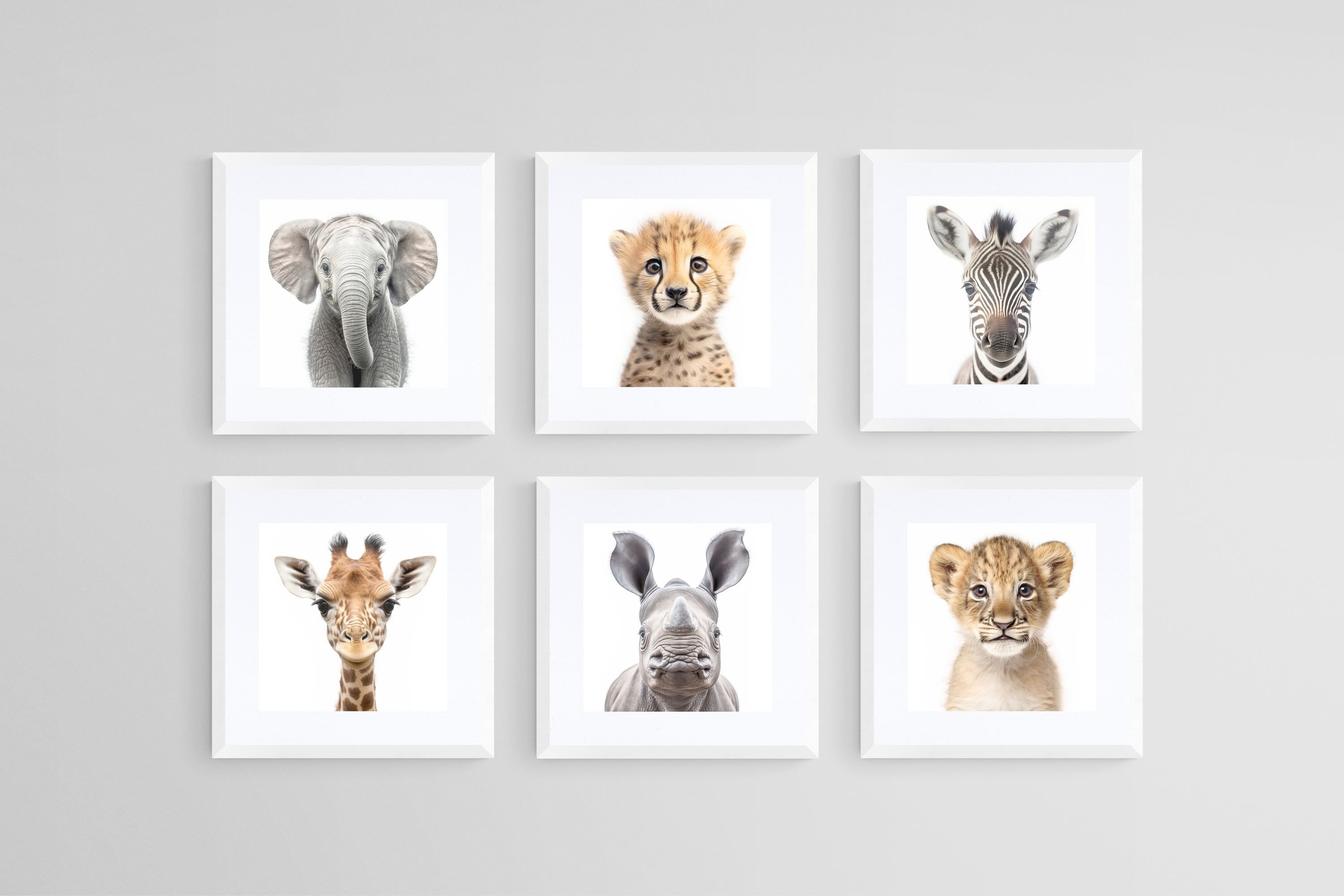 Baby Animals Set-Wall_Art-30 x 30cm (x6)-Framed Print-White-Pixalot