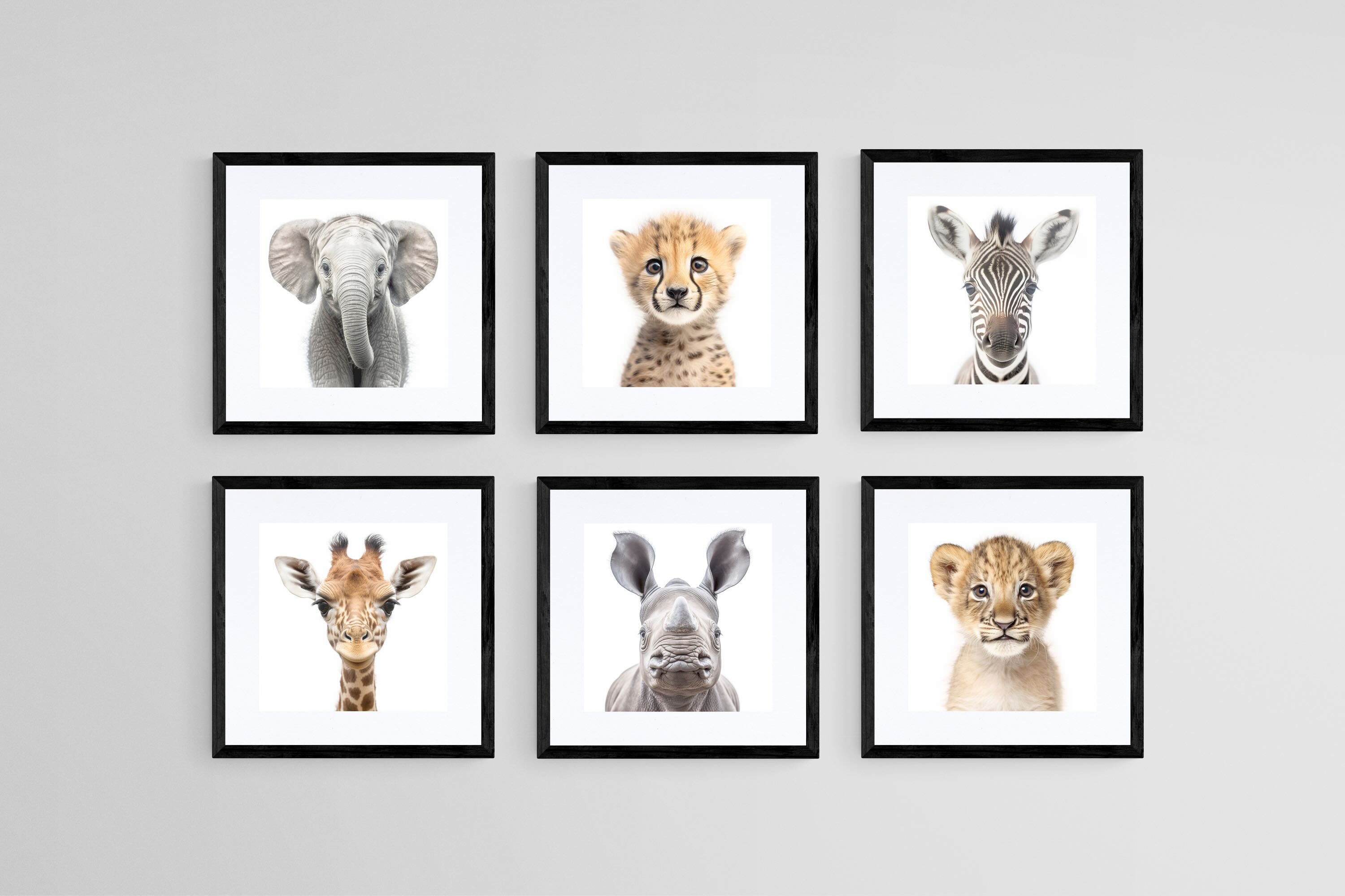 Baby Animals Set-Wall_Art-30 x 30cm (x6)-Framed Print-Black-Pixalot