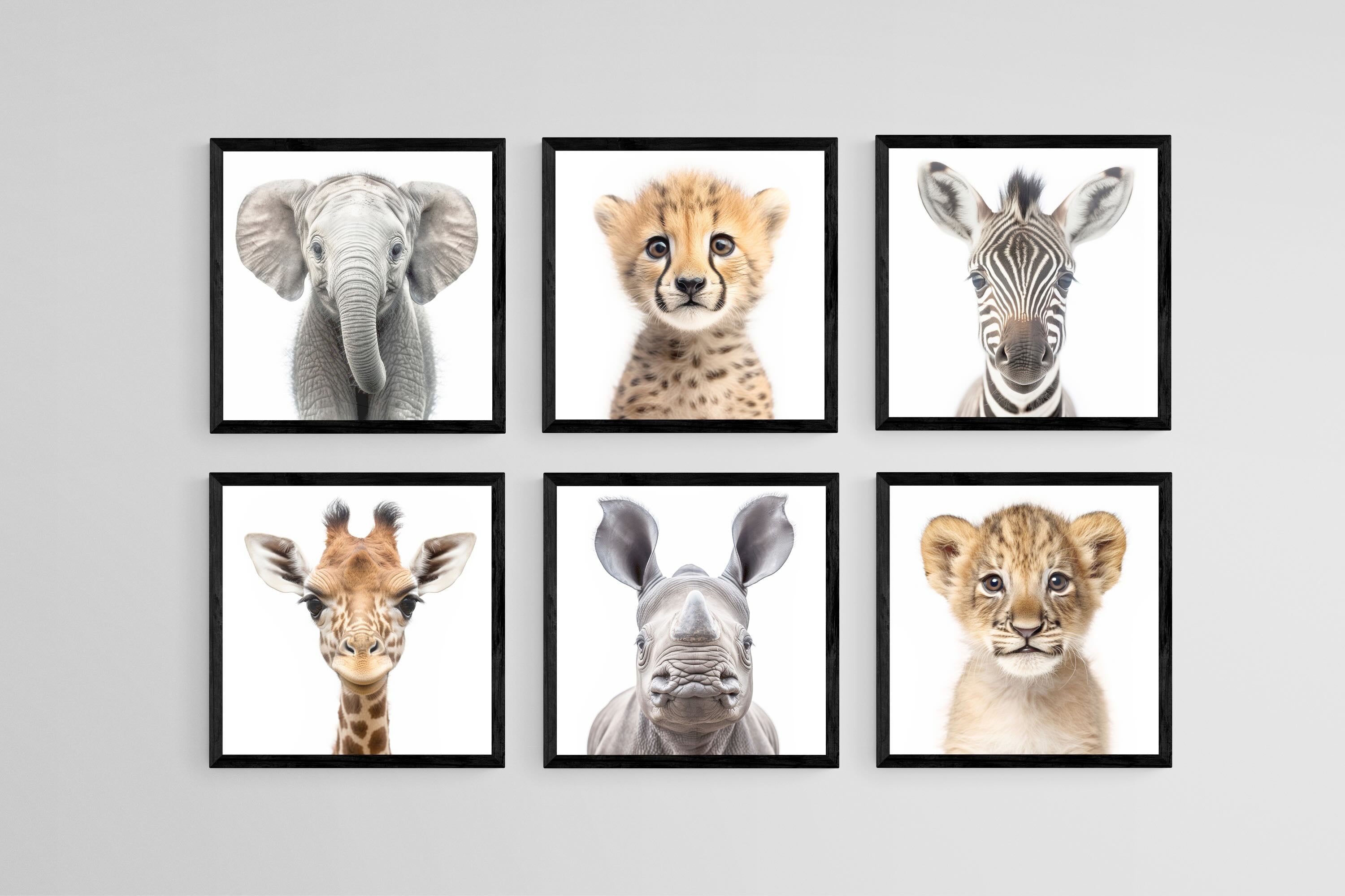 Baby Animals Set-Wall_Art-30 x 30cm (x6)-Mounted Canvas-Black-Pixalot