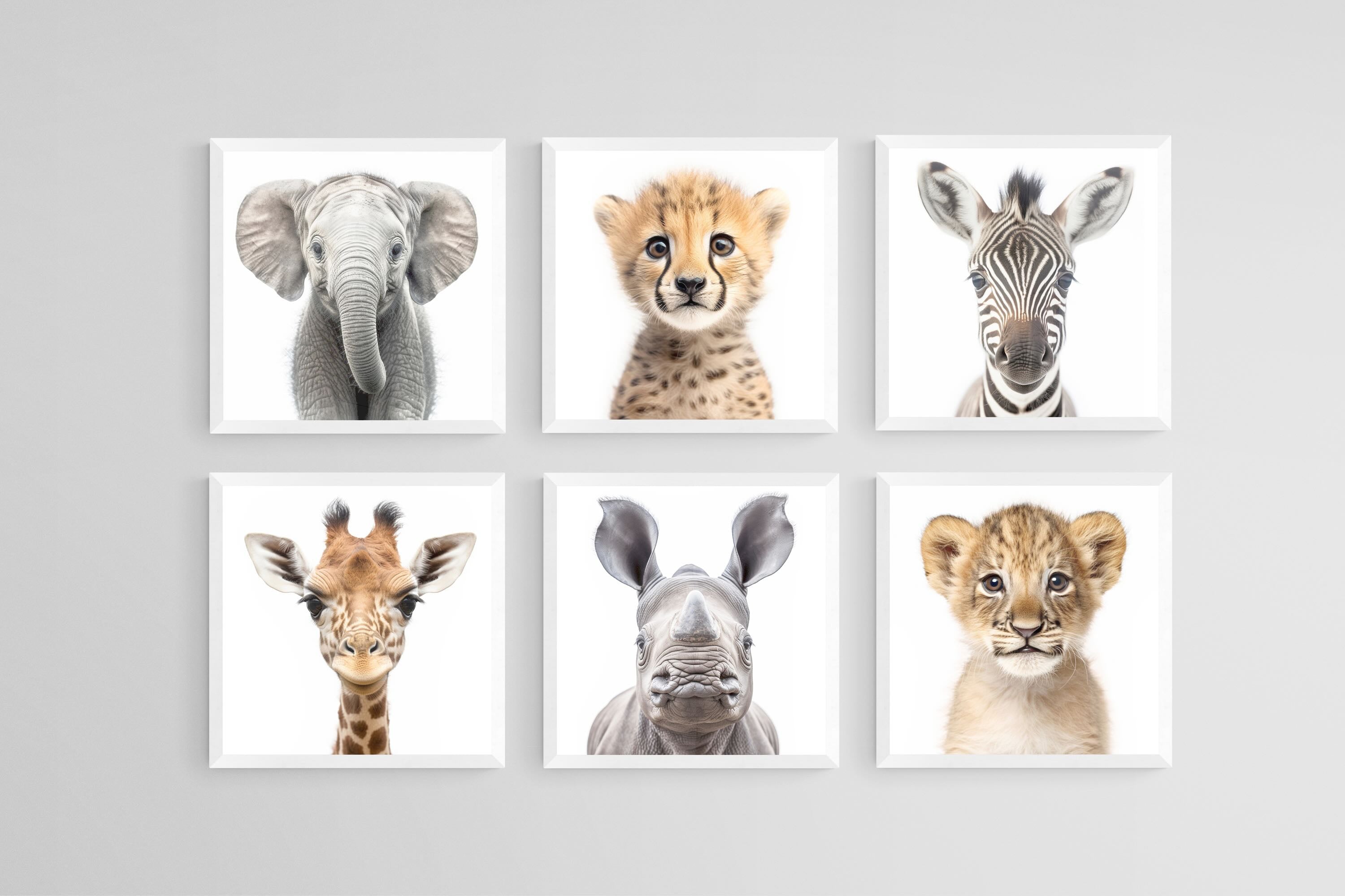 Baby Animals Set-Wall_Art-30 x 30cm (x6)-Mounted Canvas-White-Pixalot