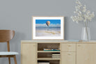 Pixalot Balloon Over the Salt Flats