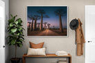 Pixalot Baobab Avenue