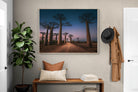 Pixalot Baobab Avenue