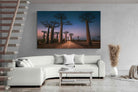 Pixalot Baobab Avenue