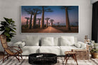 Pixalot Baobab Avenue