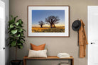 Pixalot ® Baobab