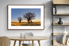 Pixalot ® Baobab