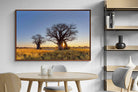 Pixalot ® Baobab