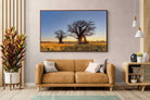 Pixalot ® Baobab