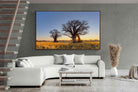 Pixalot ® Baobab