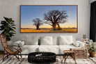 Pixalot ® Baobab