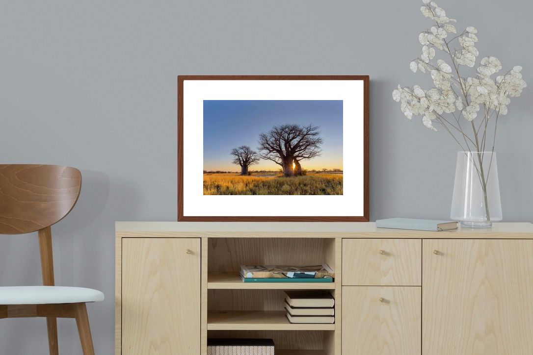 Pixalot ® Baobab