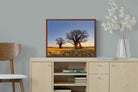 Pixalot ® Baobab