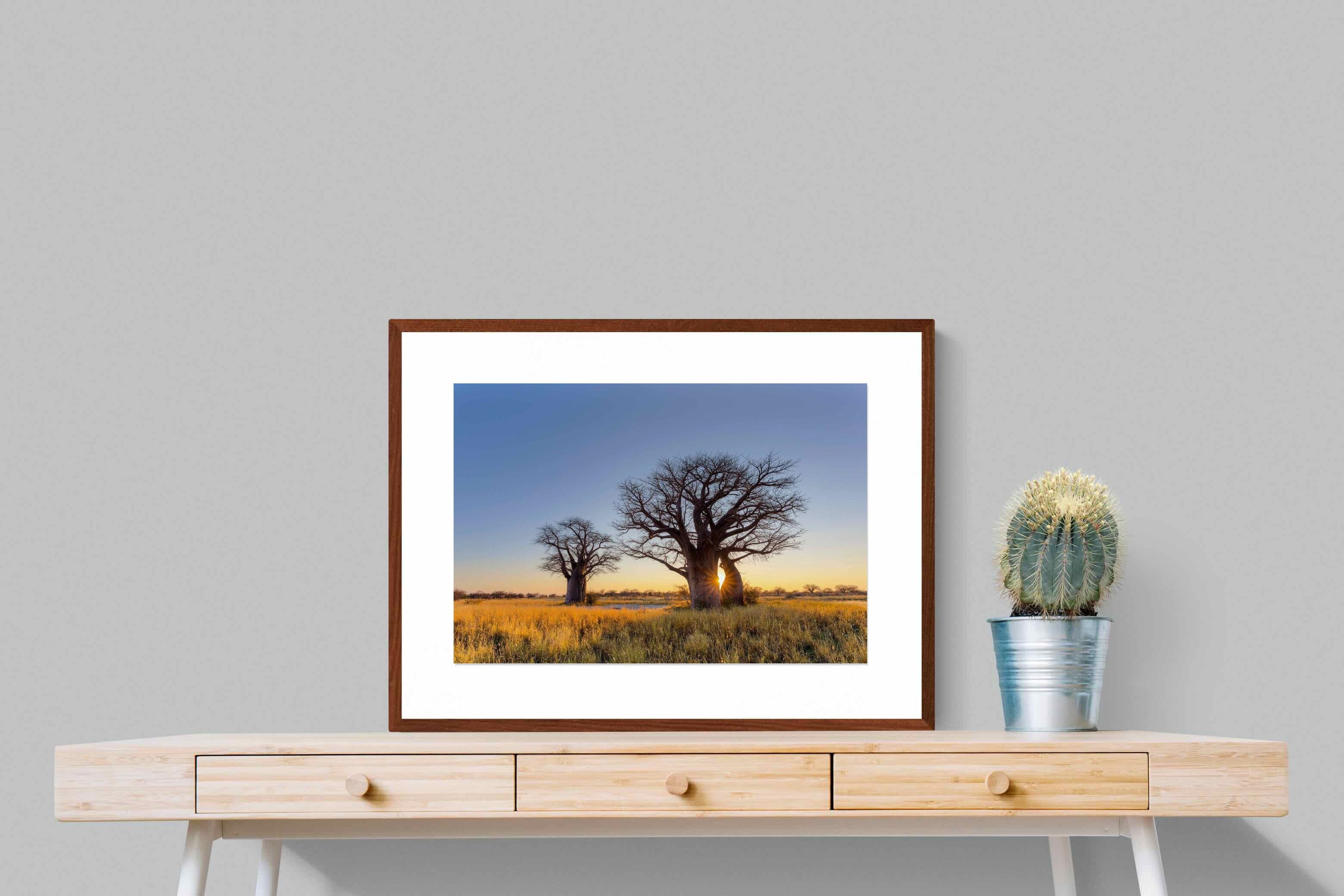 Pixalot ® Baobab