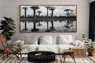 Pixalot ® Baobab Trees