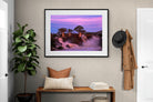 Pixalot ® Baobab Twilight
