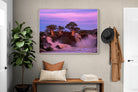 Pixalot ® Baobab Twilight