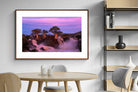 Pixalot ® Baobab Twilight