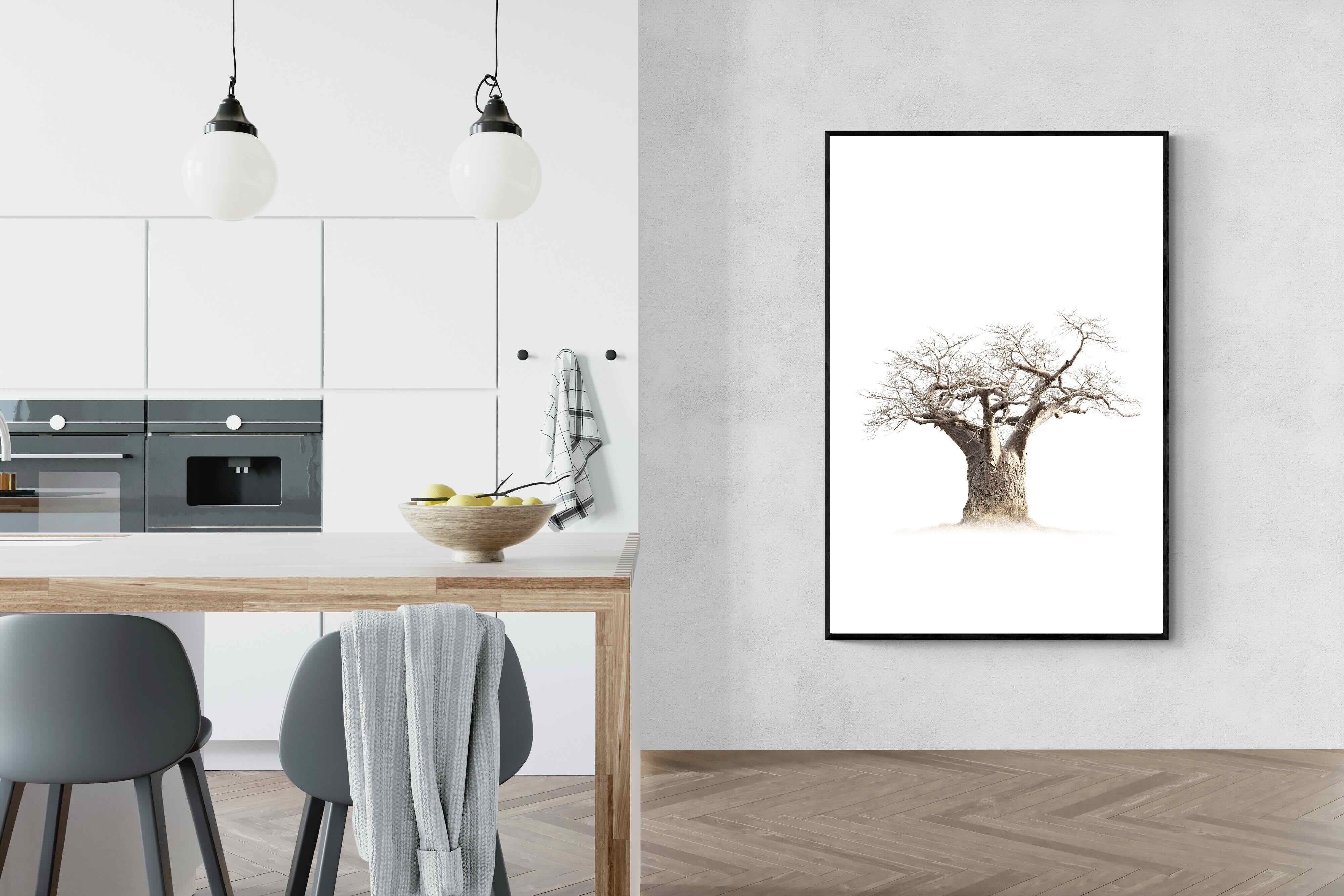 Pixalot ® Baobab Whiteout