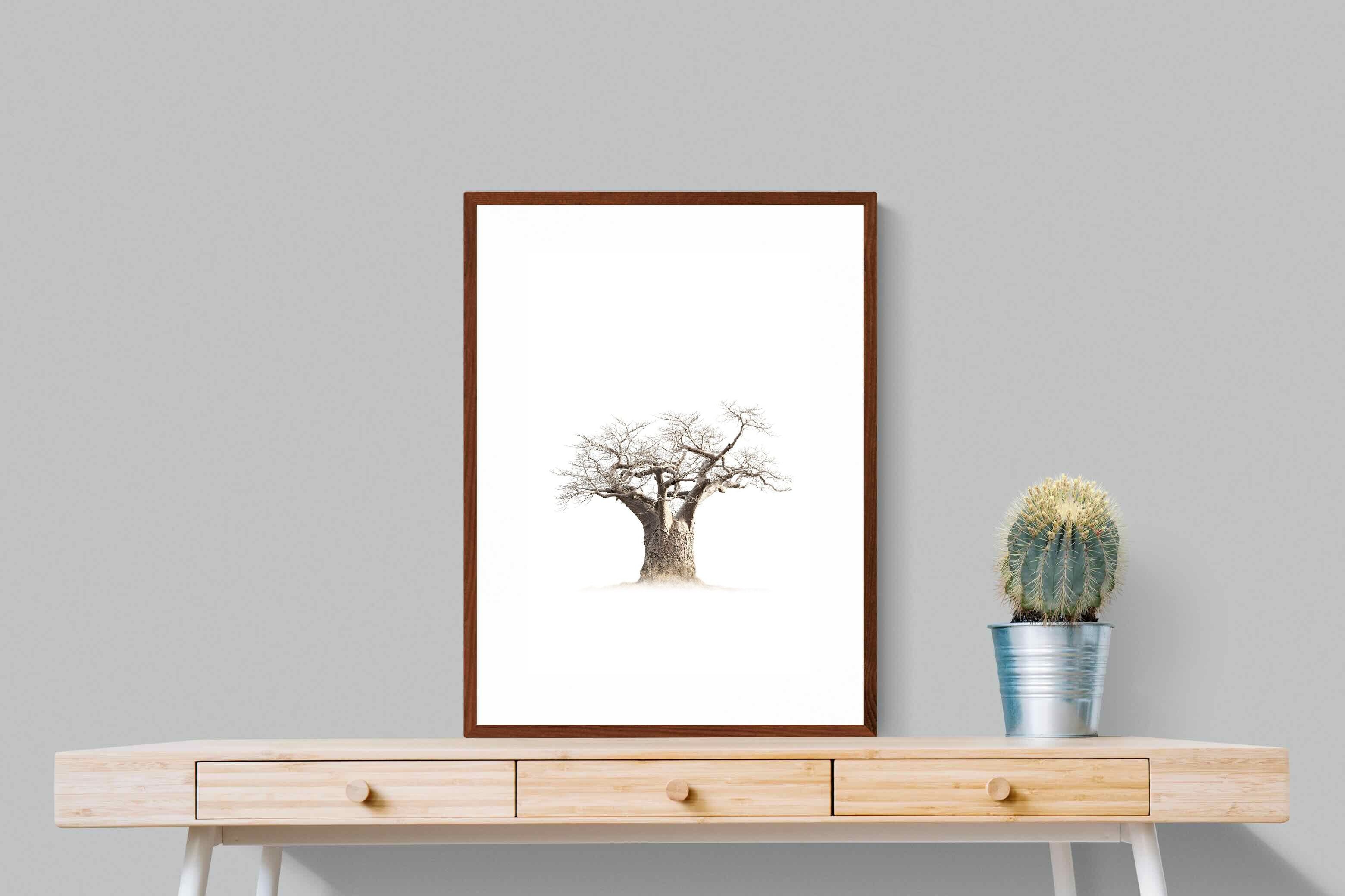 Pixalot ® Baobab Whiteout
