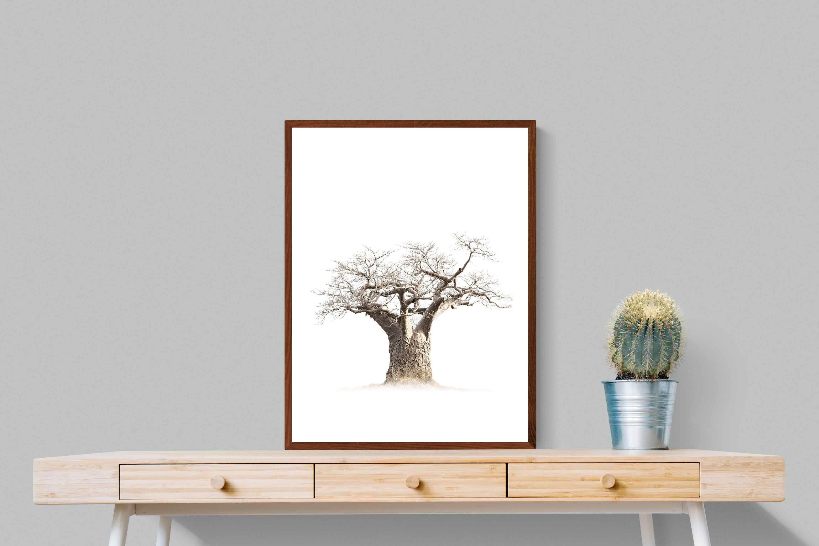 Pixalot ® Baobab Whiteout
