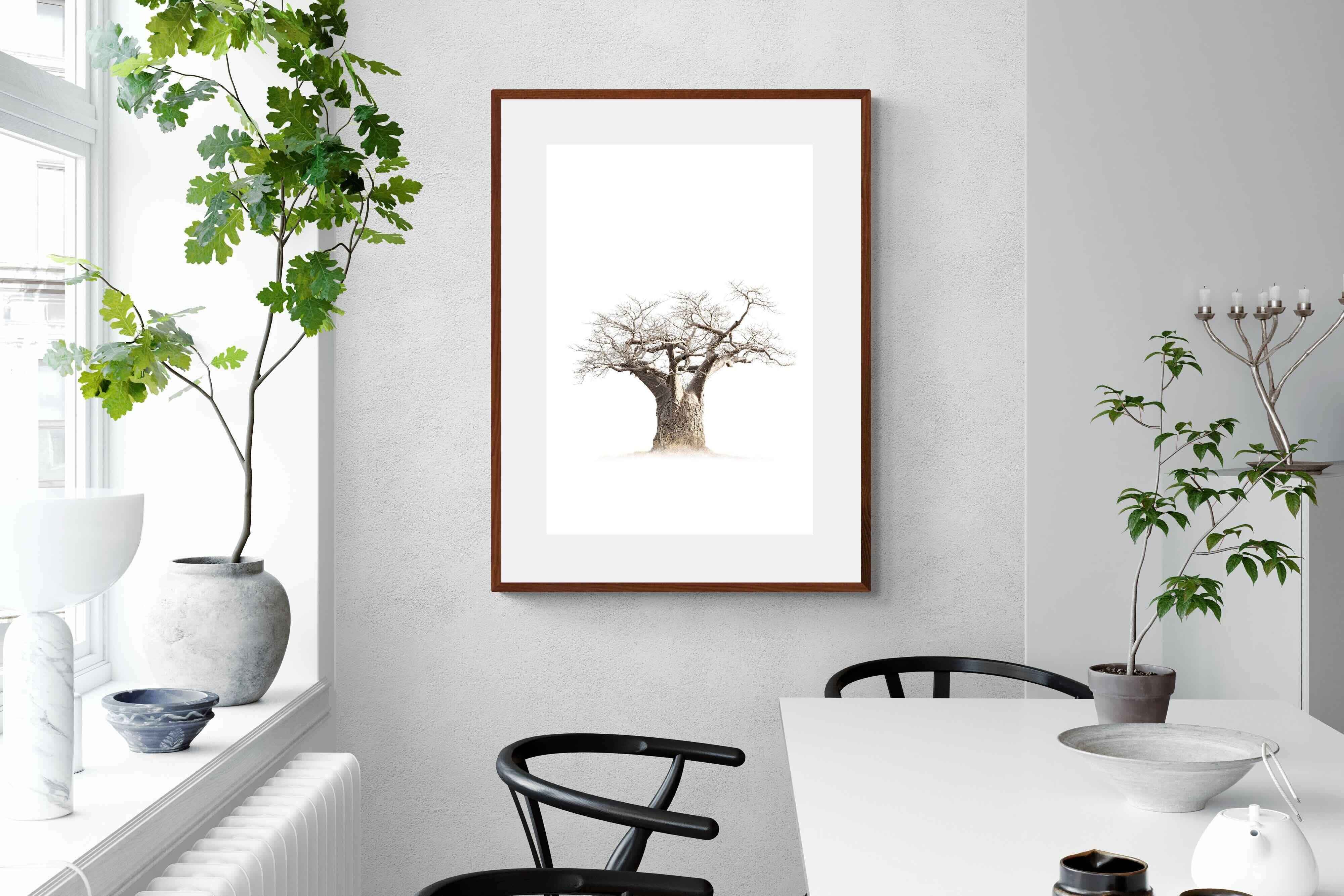 Pixalot ® Baobab Whiteout