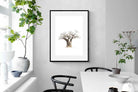 Pixalot ® Baobab Whiteout