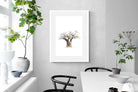 Pixalot ® Baobab Whiteout