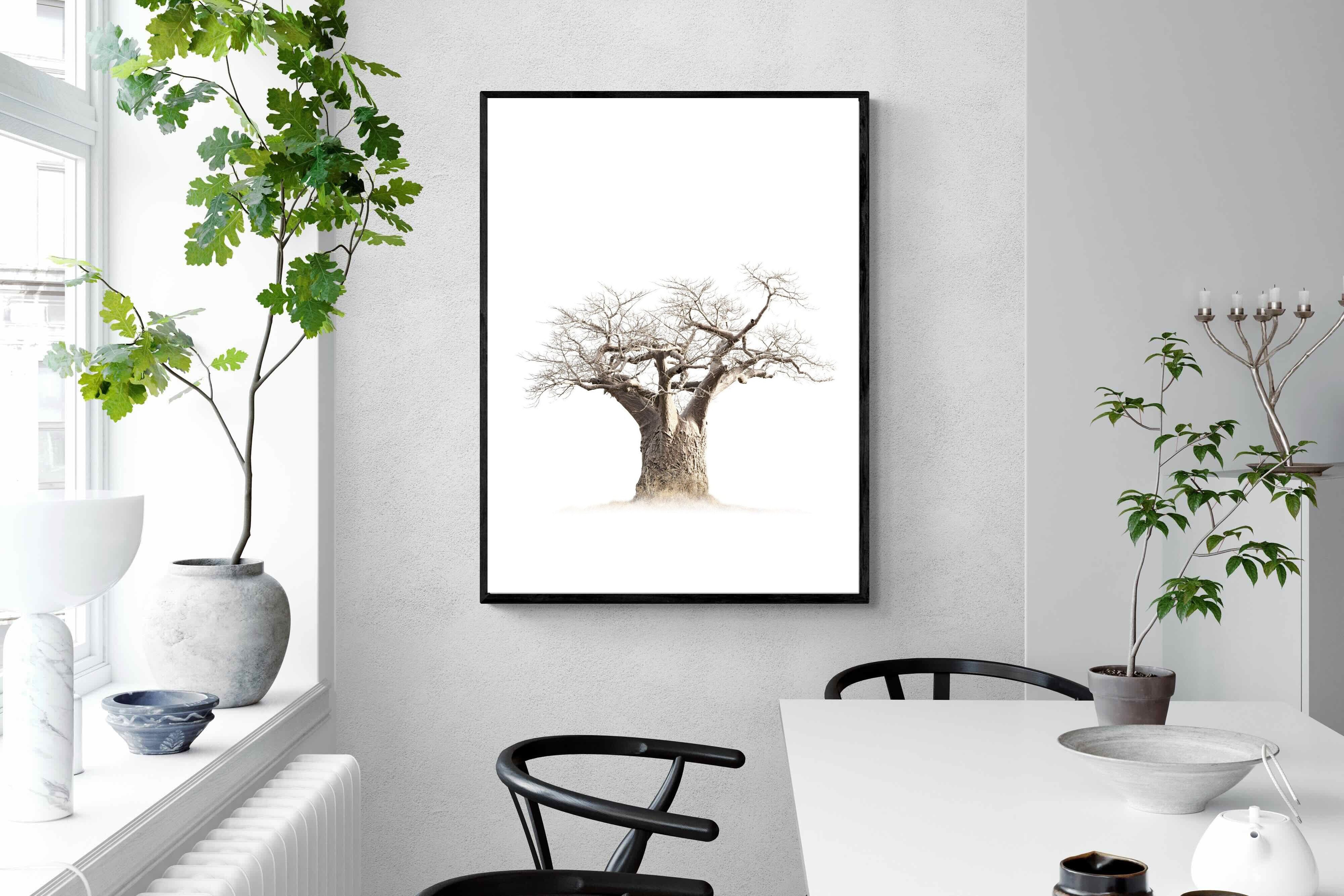Pixalot ® Baobab Whiteout
