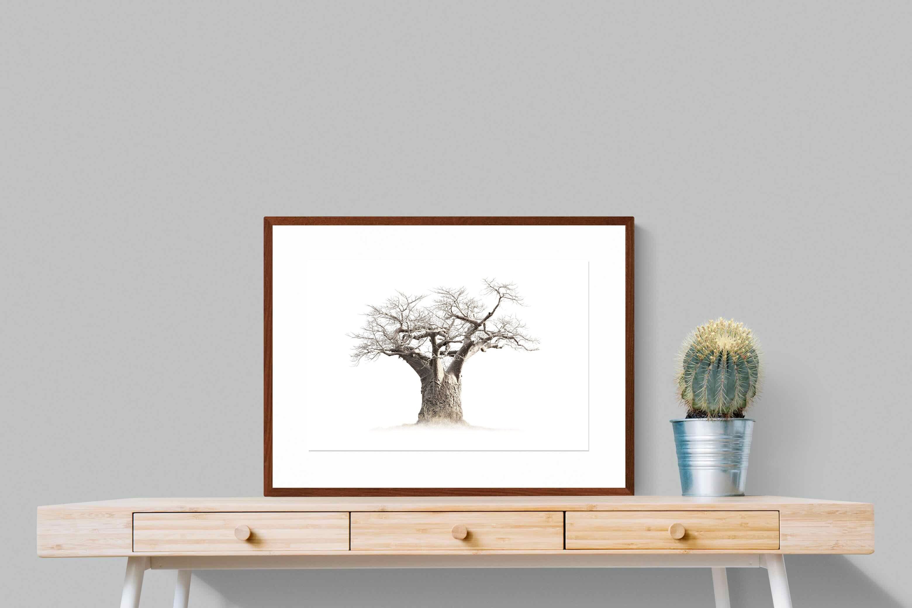 Pixalot Baobab Whiteout