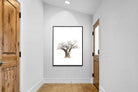 Pixalot ® Baobab Whiteout