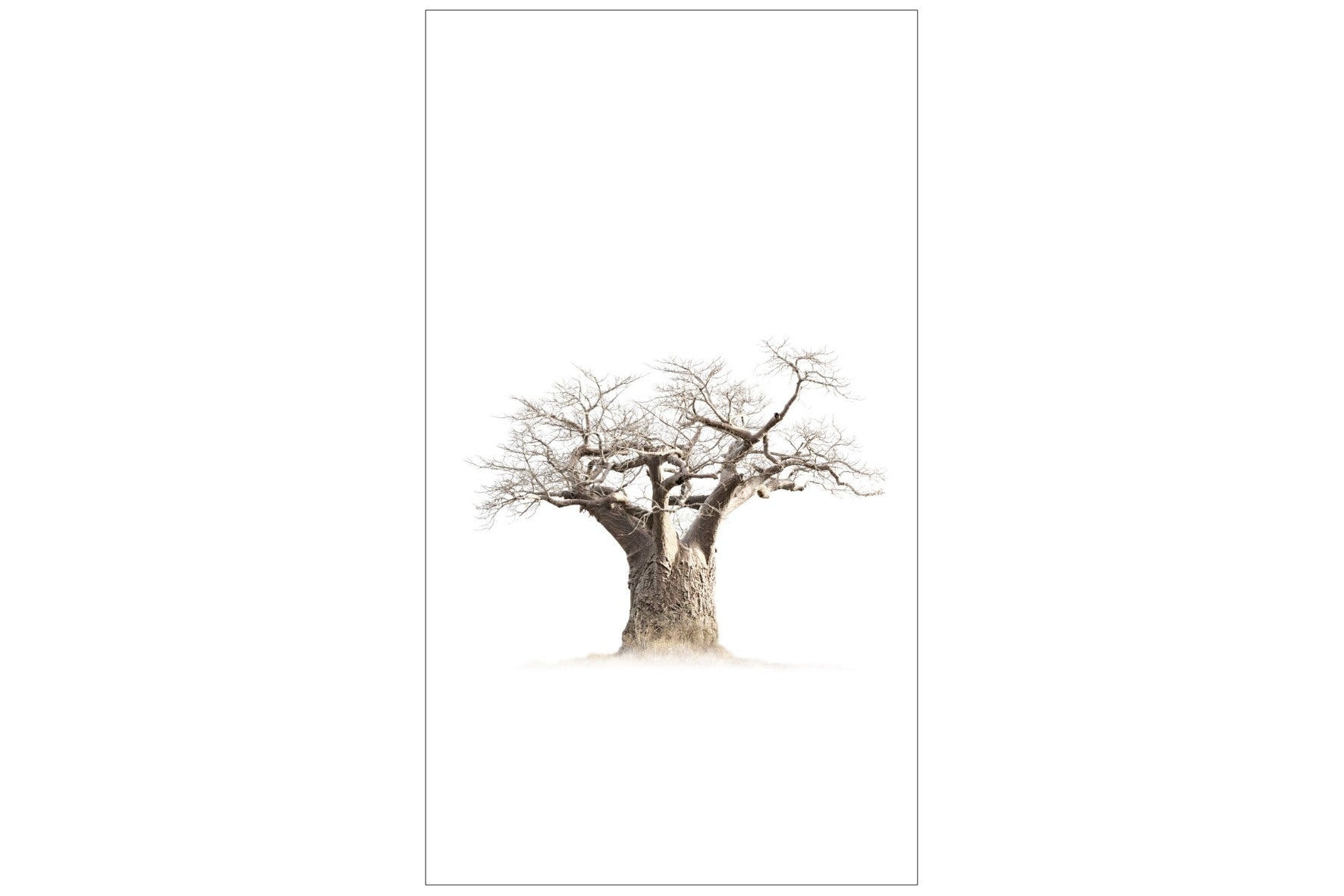 Dragable Image