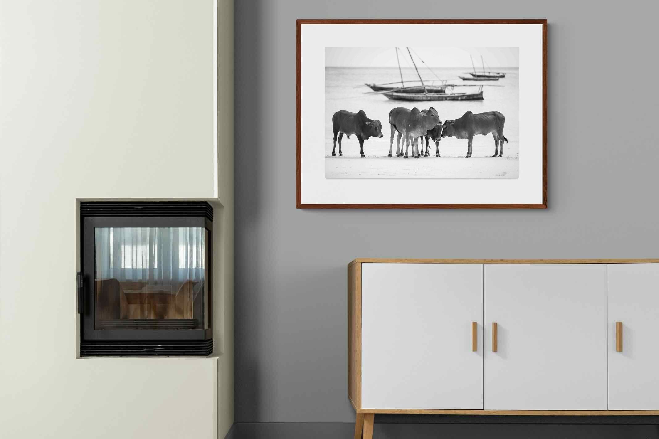 Pixalot ® Beach Cattle