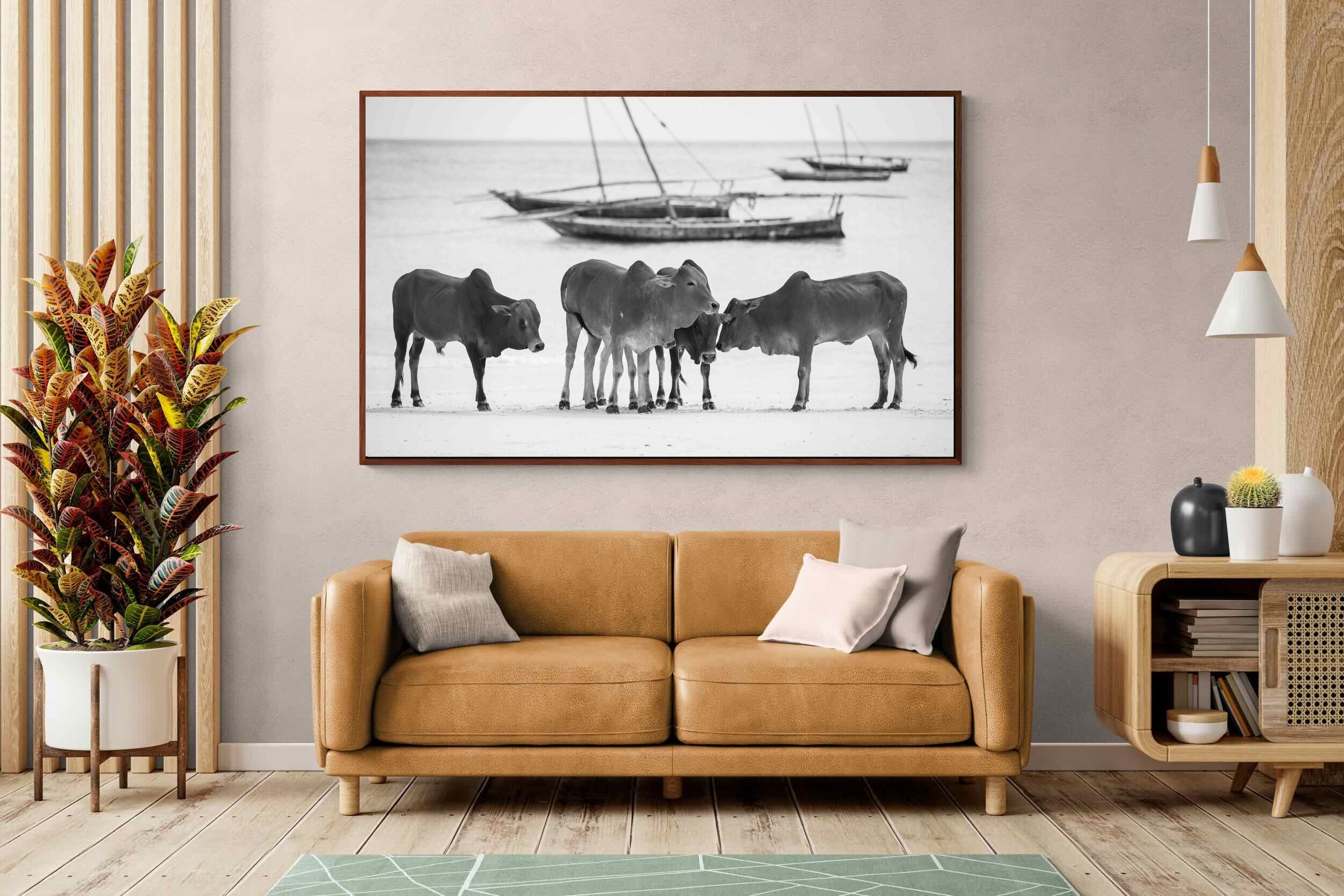 Pixalot ® Beach Cattle