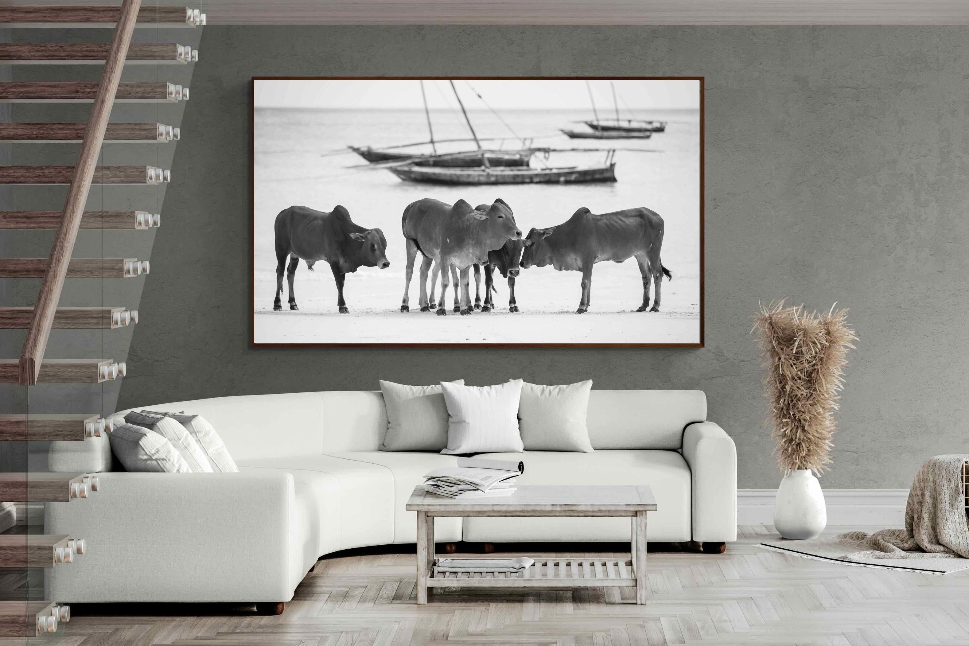 Pixalot ® Beach Cattle