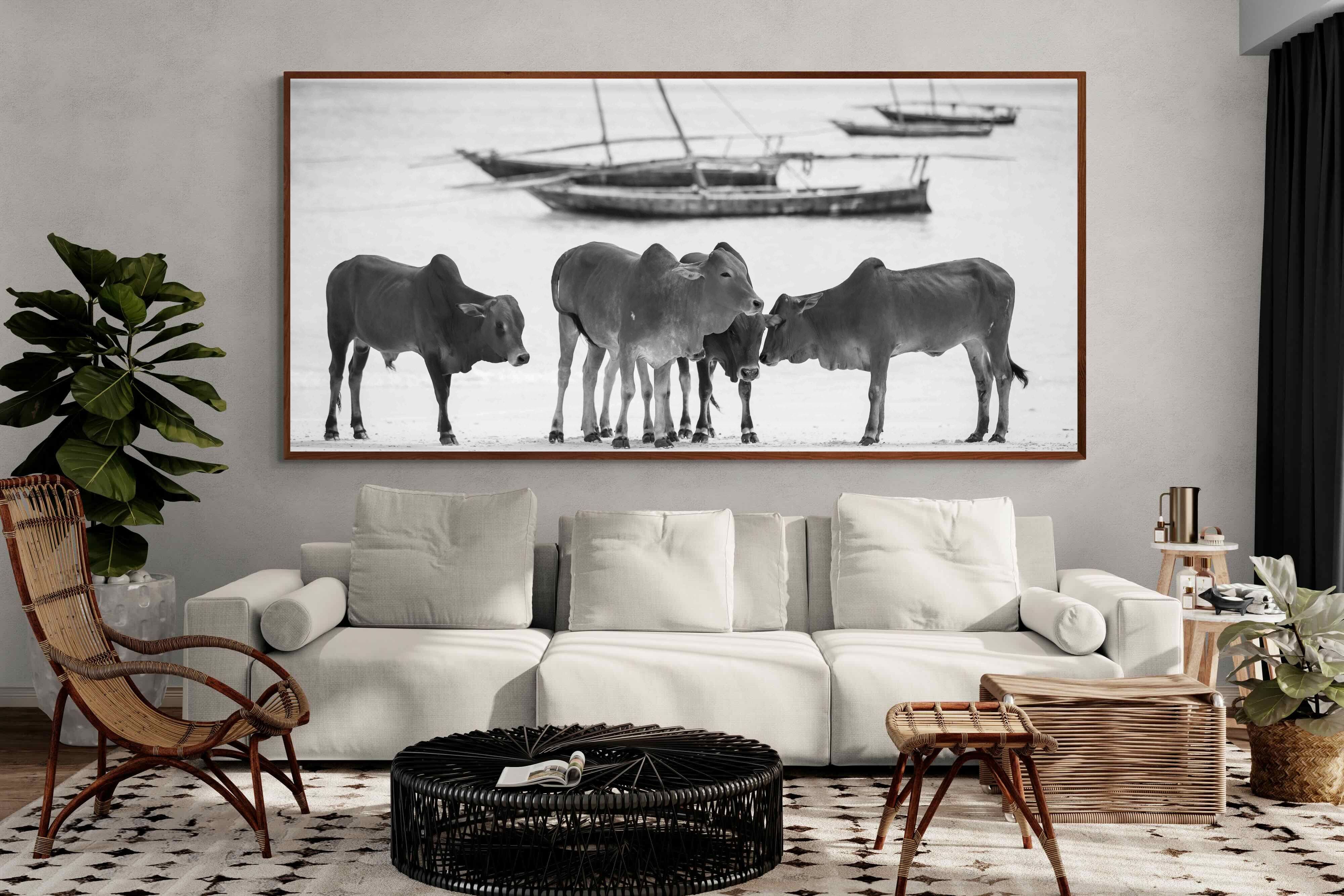 Pixalot ® Beach Cattle