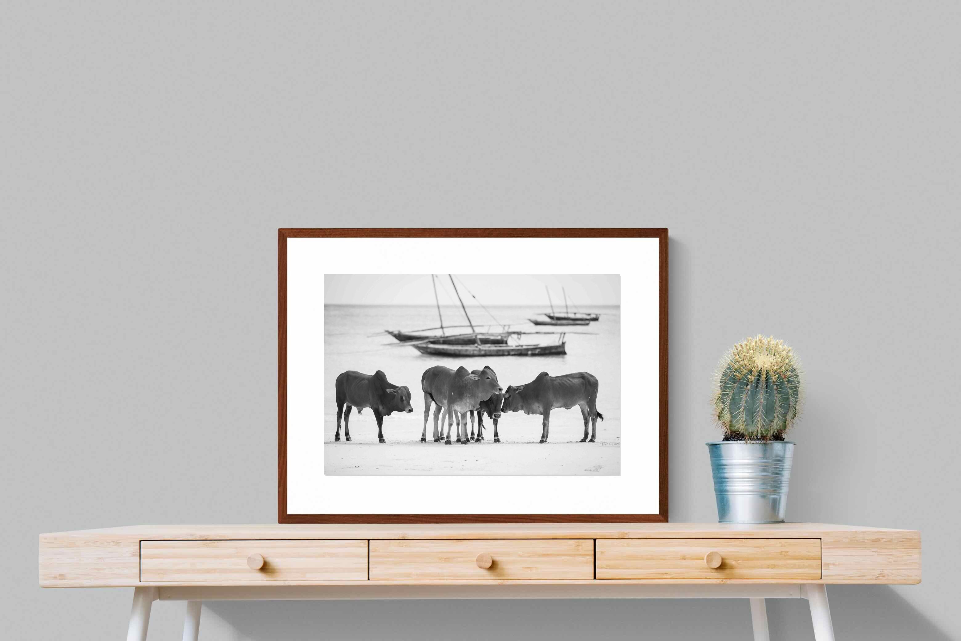 Pixalot ® Beach Cattle